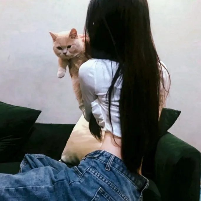 起诉教宗